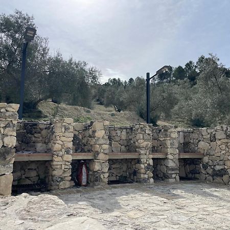 Vina Zarzarrosa أشونة المظهر الخارجي الصورة